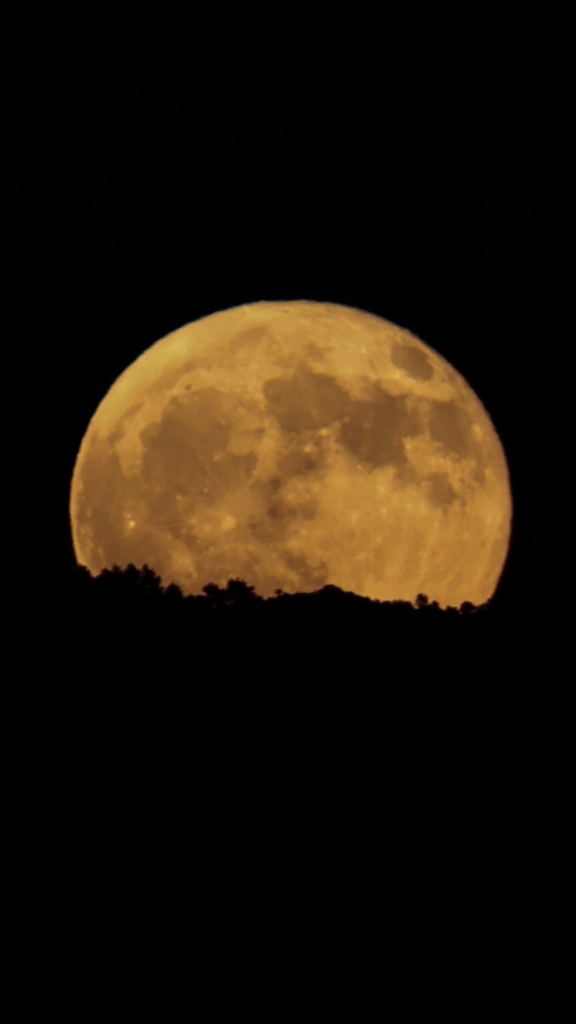 『赫月 moon』 gamze on X: 