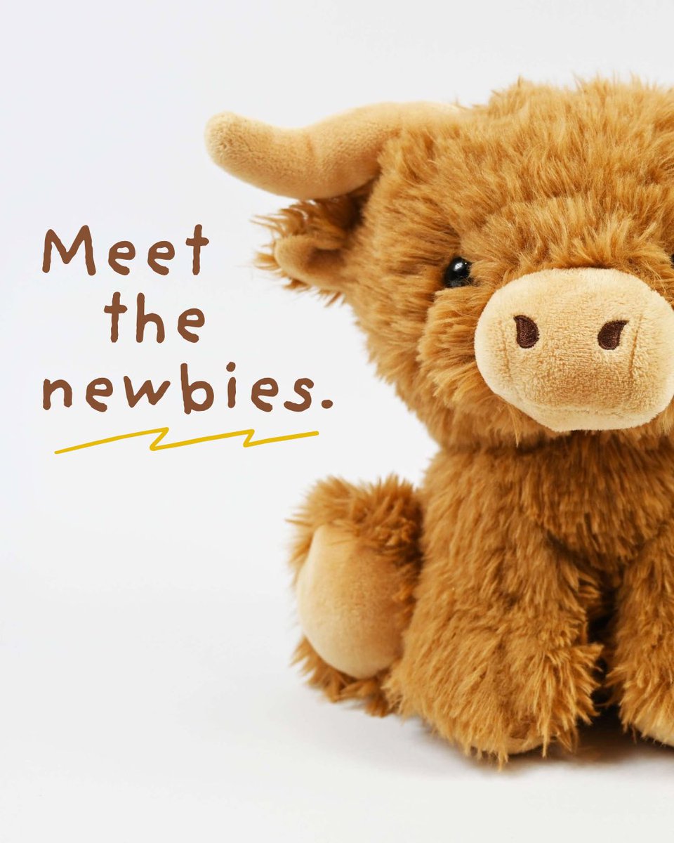 Loved Before tweet media