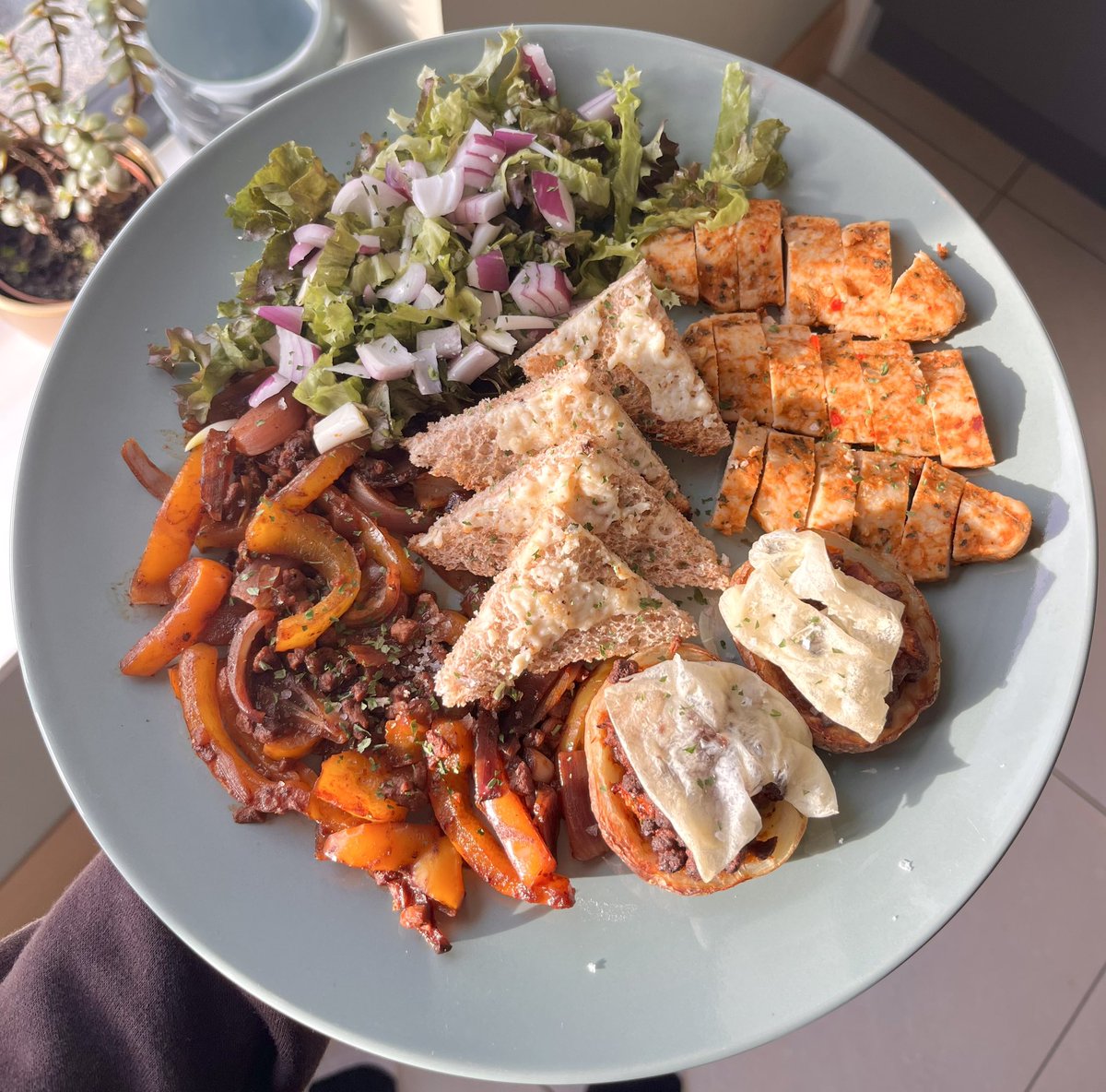 whiskers tweet media