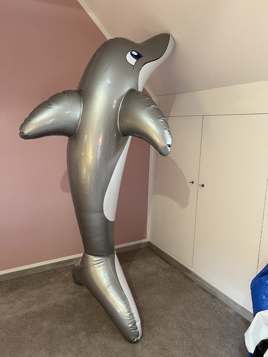 Gray (Grace) tweet media