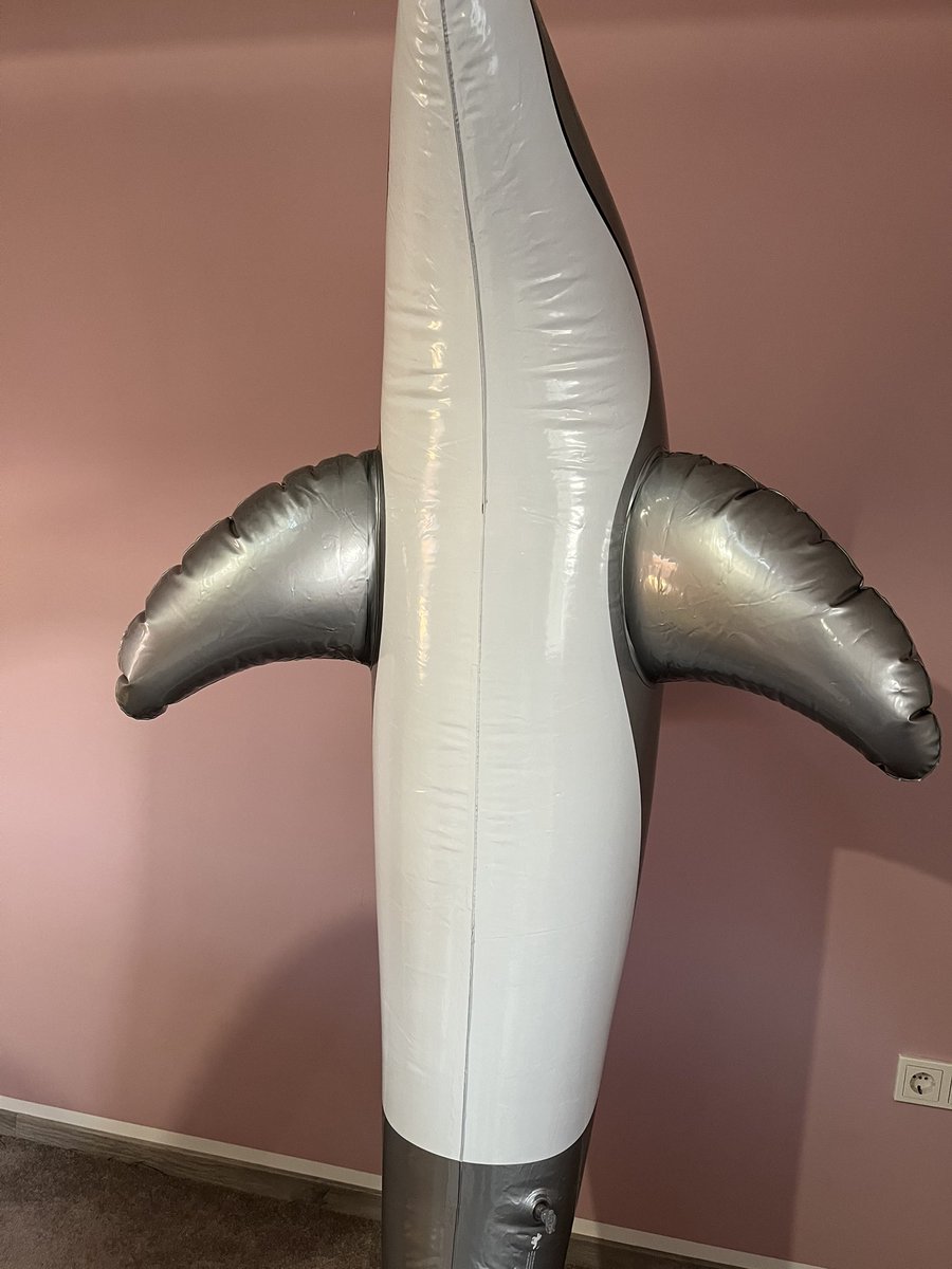 Gray (Grace) tweet media