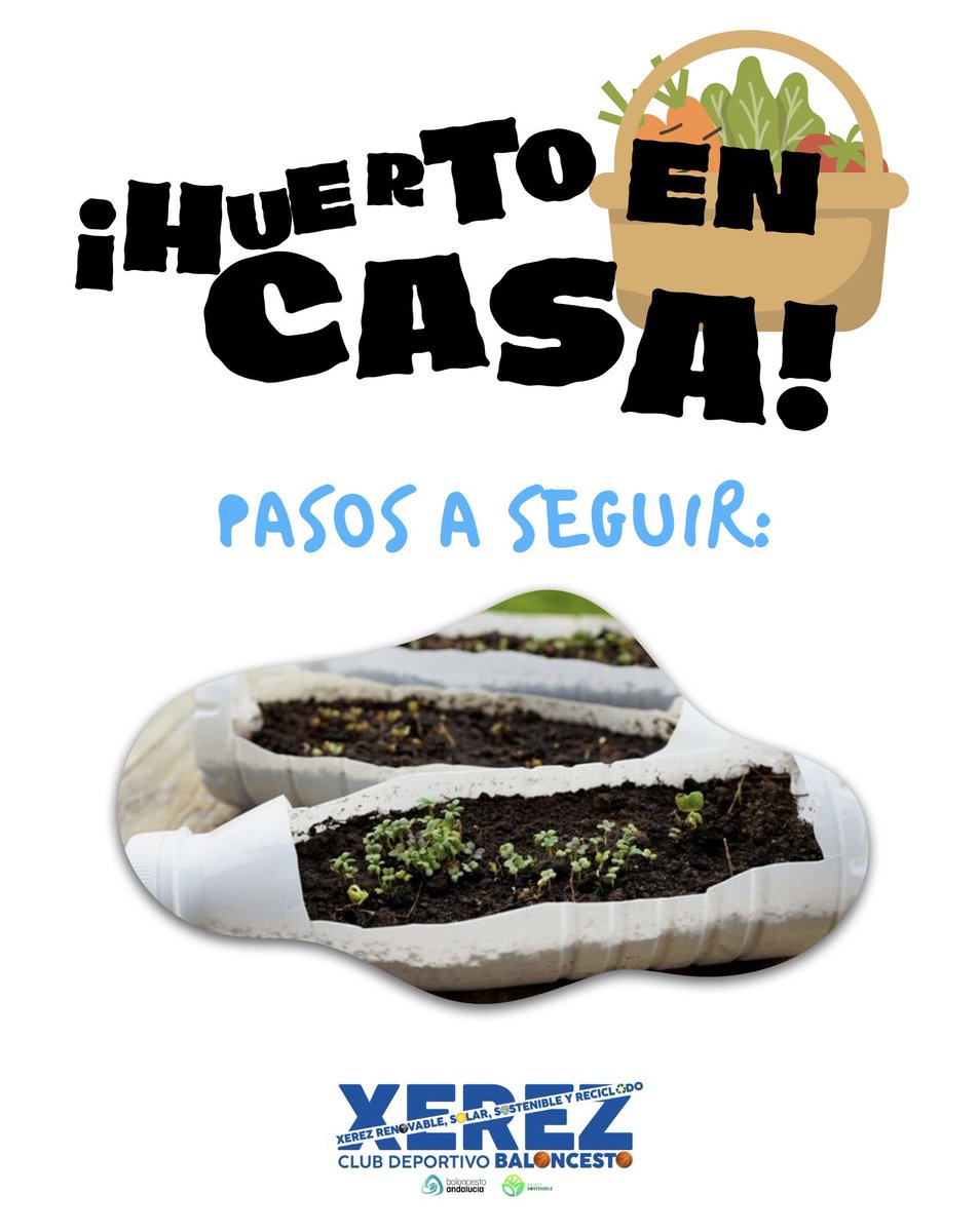 XerezCDBasket's tweet photo. 🌱🏀 XEREZ ECOBASKET: DEL BALCÓN AL CAMPO♻️💚
📢 Plantar semillas en botellas reciclables, nunca ayudó tanto al planeta, ¡HAZLO EN CASA!
💪🏽🌱 🌎🏀
@fabcadiz @FAB_Andaluza @sgm_ambiental #basketSOStenible #SGM #valorcesto #fabcadiz #andaluzabaloncesto #BecaVerde https://t.co/iwfawmnhtC