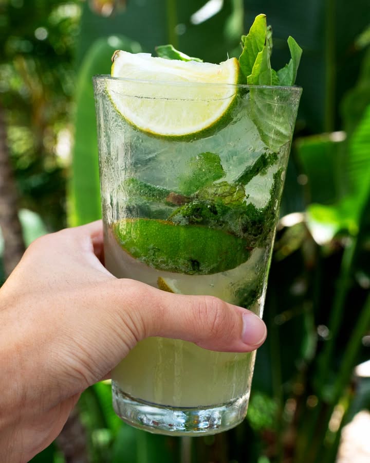 TwistedTunaJup's tweet photo. Did someone say mint mojito? 🍃✨ 

Join us for a refreshing happy hour cocktail, daily from 3:30 p.m. to 6:30 p.m.

#happyhour #tikibar #thetwistedtuna #twistedtuna #jupiter #jupiterflorida #cocktails https://t.co/L2lN02sPAR