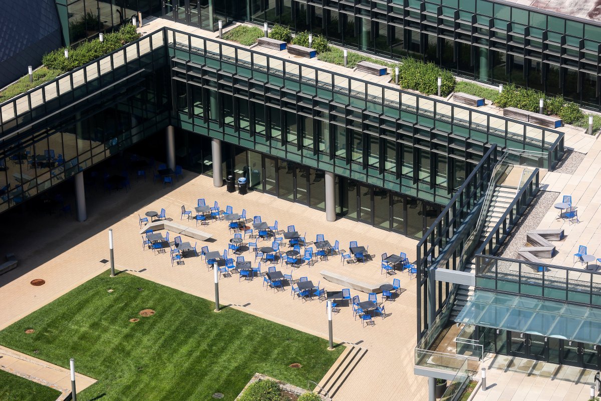 Campus is waiting. The fall semester begins in two weeks! 😸