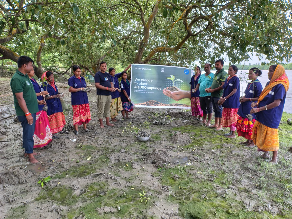 DrcscIndia's tweet photo. Greetings and wishes on 49th HCL Day from Sundarbans. 
DRCSC celebrates 49th HCL Day under the project "Restoration and Rehabilitation of Mangrove and Social Forestry Ecosystem in the Coastal Sundarbans" through plantation of 10,000 mangroves in the Hingalganj and Patharpratima . https://t.co/BUG6NGstZ5
