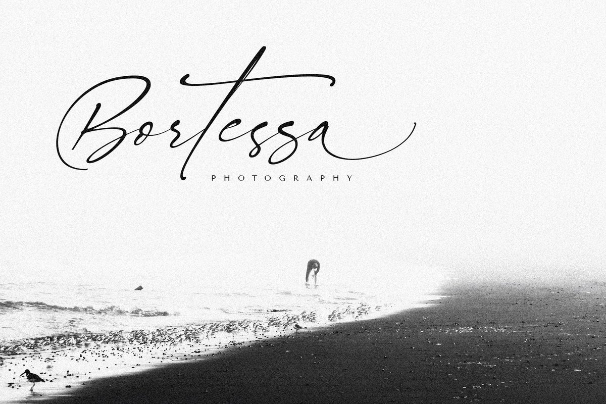 fontriver's tweet photo. Signatie font designed by Brand Semut
https://t.co/NxUVKLI37c

#fontriver #fonts #calligraphy #typography #design #webdesign #script #handwritten #calligraphic #handwriting #font #type #typeface #lettering #handlettering #brand #branding #branddesign #brandingdesign #weddingfonts https://t.co/qrM49qXesq