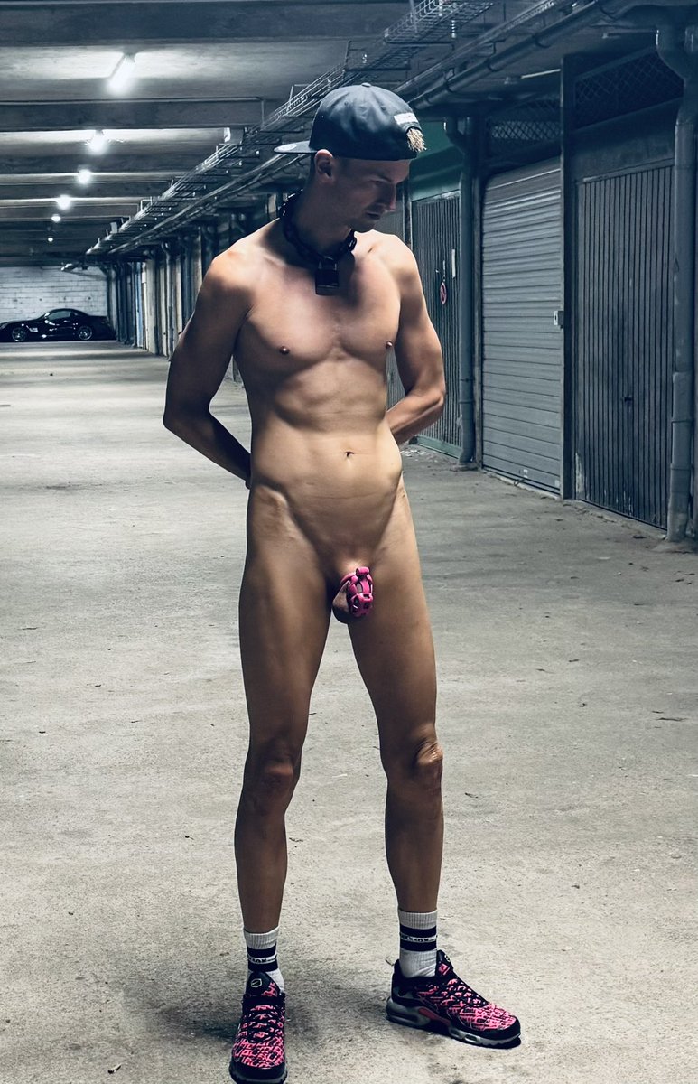 sub dog 76k tweet media