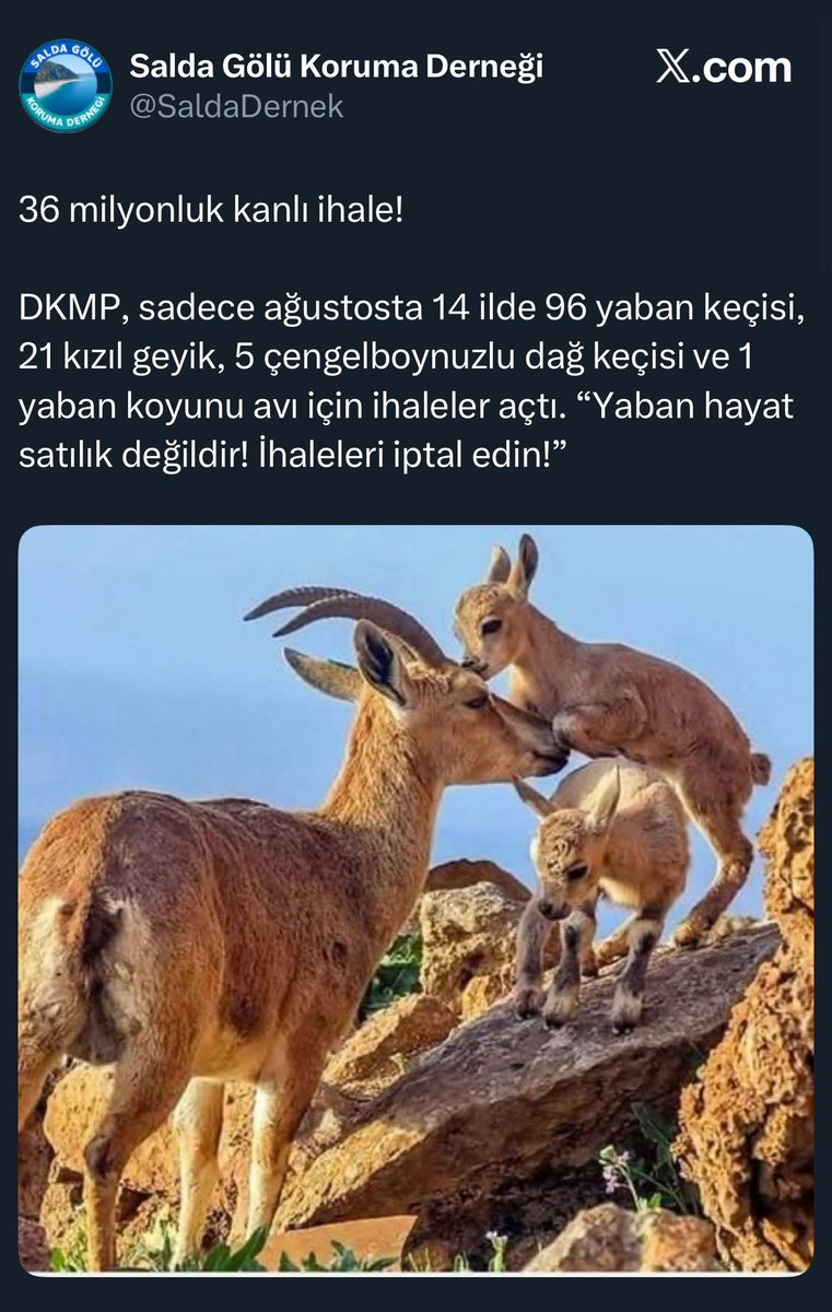 Av.Arb.ASLIHAN ERGÜN ERCAN ⚖️ (@aslihan_ercan) on Twitter photo Onlar da can!!!
Bana sürekli söylenen şey…
Onlar da can!!!
Peki bu hayvanların canı yok mu?
Böyle bir garabet yok yer yüzünde…
Başıboş köpeklere hizmette sınır yok, diğerlerini avlayabilirsiniz…
Buyrun…
<a href="/RTErdogan/">Recep Tayyip Erdoğan</a>
#CANAKKALEYANIYOR Onlar da can!!!
Bana sürekli söylenen şey…
Onlar da can!!!
Peki bu hayvanların canı yok mu?
Böyle bir garabet yok yer yüzünde…
Başıboş köpeklere hizmette sınır yok, diğerlerini avlayabilirsiniz…
Buyrun…
<a href="/RTErdogan/">Recep Tayyip Erdoğan</a>
#CANAKKALEYANIYOR