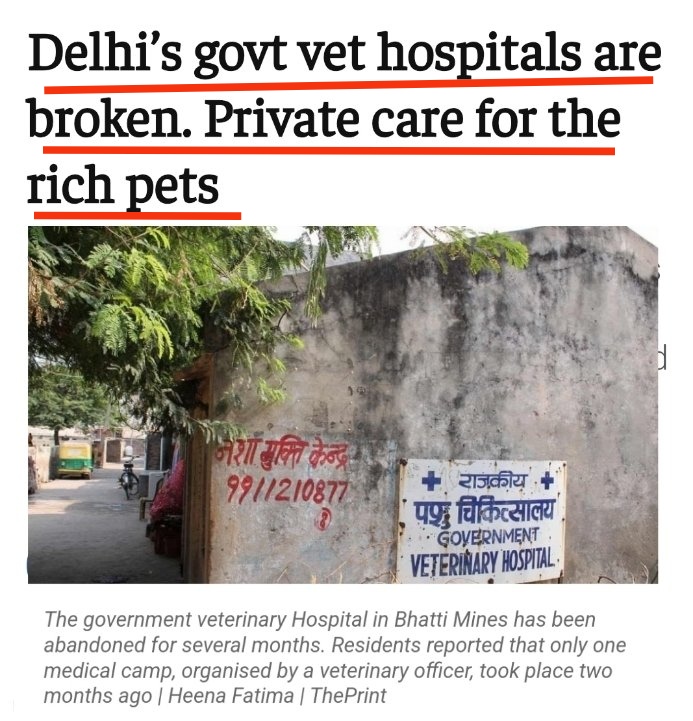 Who failed the dogs in Delhi, India ? 

77 veterinary hospitals in Delhi in shambles. What can we say about governance! 

This will never be talked about by the press or any decision makers irrespective of the party lines.
#savedelhidogs #savedelhidogs2025