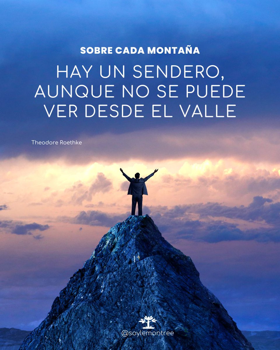 soylemontree's tweet photo. Cada reto esconde un camino. Solo quienes se atreven a buscarlo, lo encuentran.

¡Conoce nuestra nueva iniciativa, conoce nuestro invernadero!
👉https://t.co/s9YQlqBl8O

#Soylemontree🍋 https://t.co/GSOWOpYEAi