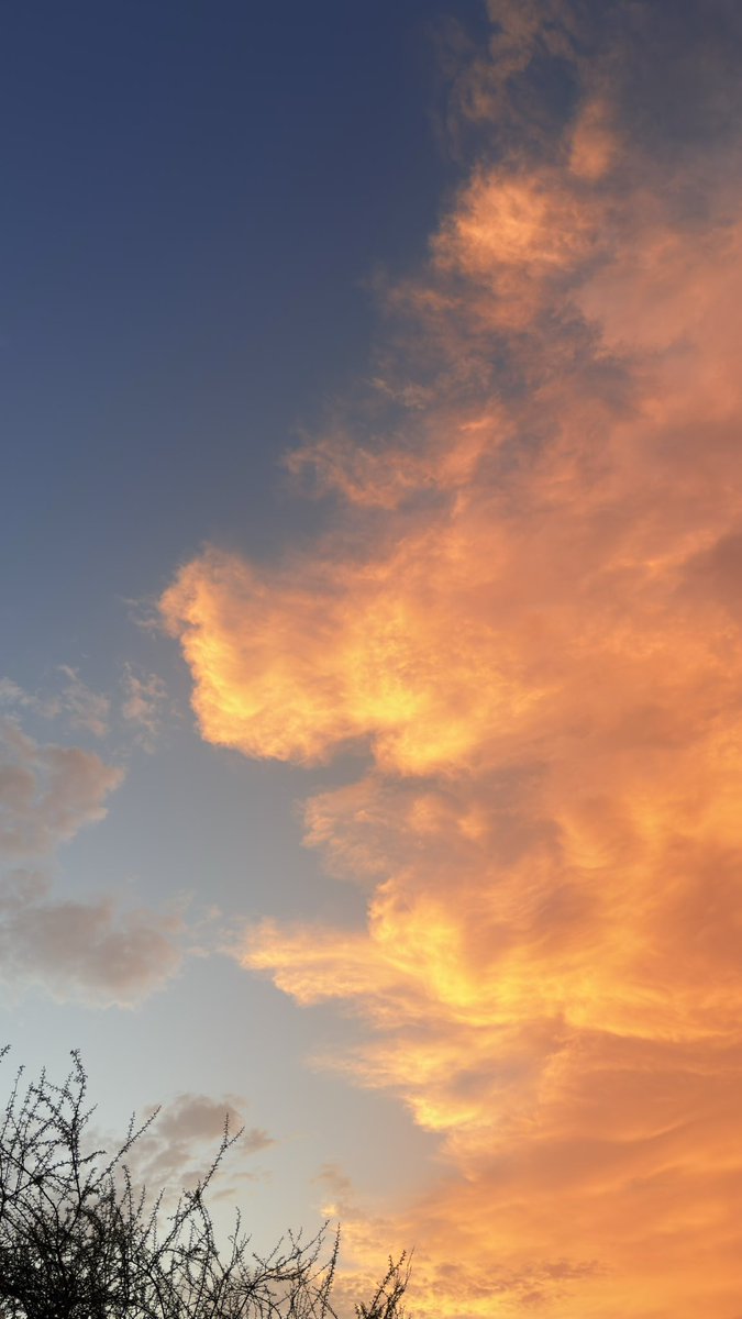 غروب الحادي عشر من أغسطس 🌅
