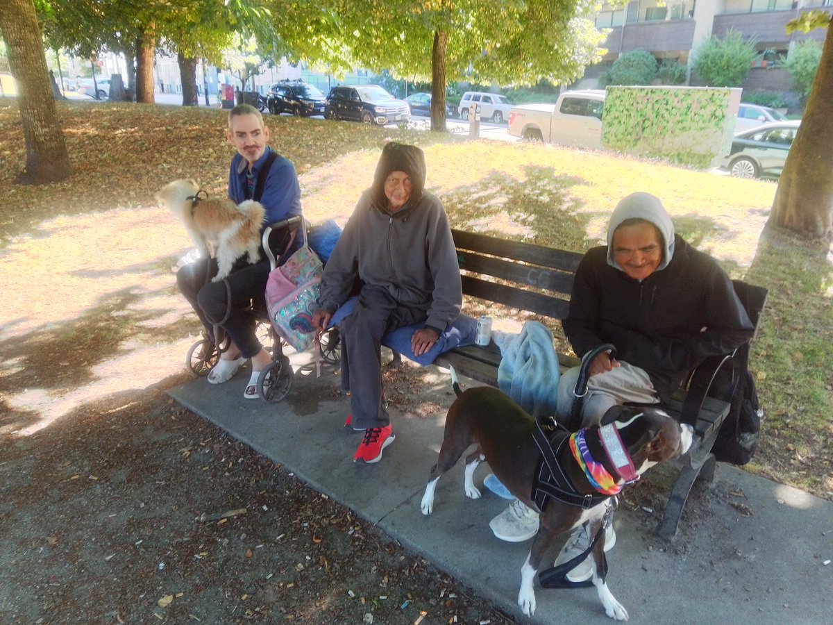 LebrockTony's tweet image. Mon🌅🐕🏞️⌛💙🤎🤍💙🐾🐾DogSquad🥰Tribe🪶🐾💙
#allmyrelations #nativefriends #nativeforward #pittieslove
#petpals #petsandpeople #MorningRoutine #milo #dogx
#MadamRiley #milomonday