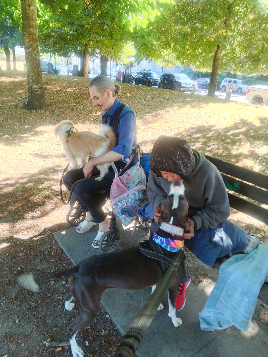 LebrockTony's tweet image. Mon🌅🐕🏞️⌛💙🤎🤍💙🐾🐾DogSquad🥰Tribe🪶🐾💙
#allmyrelations #nativefriends #nativeforward #pittieslove
#petpals #petsandpeople #MorningRoutine #milo #dogx
#MadamRiley #milomonday