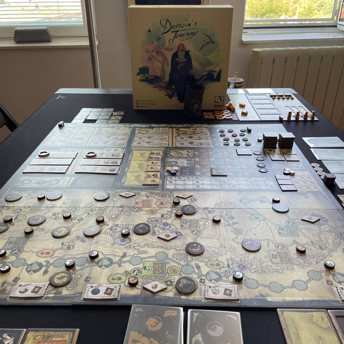 Tuve la oportunidad d varias expas d Darwins Journey. No me gustaron mucho. Azar innecesario en las cartas d aventura d Fireland, el Caballo y barco extra no los desbloquee. Ya vas justo d monedas en el base, pues no hay para gastarlas en moviments... Con el base d sobras