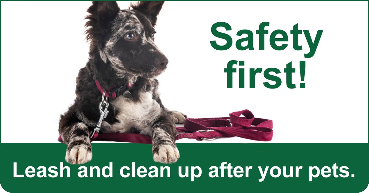 Our parks are cleaner and safer when you leash and clean up after your dog!
