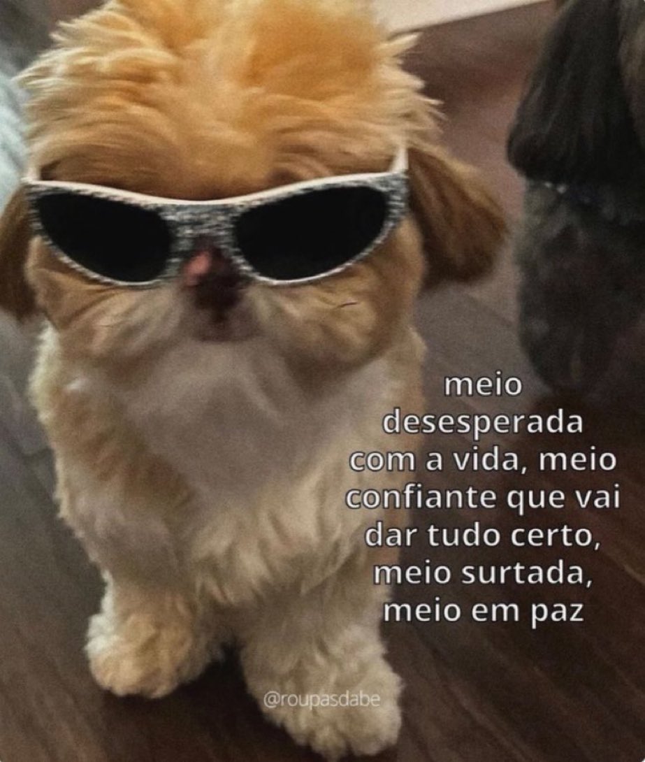 vittor's tweet photo. https://t.co/QdQfQXaJRN