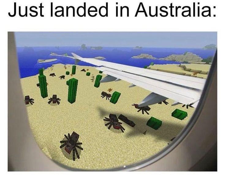 what if Minecraft was Australian?