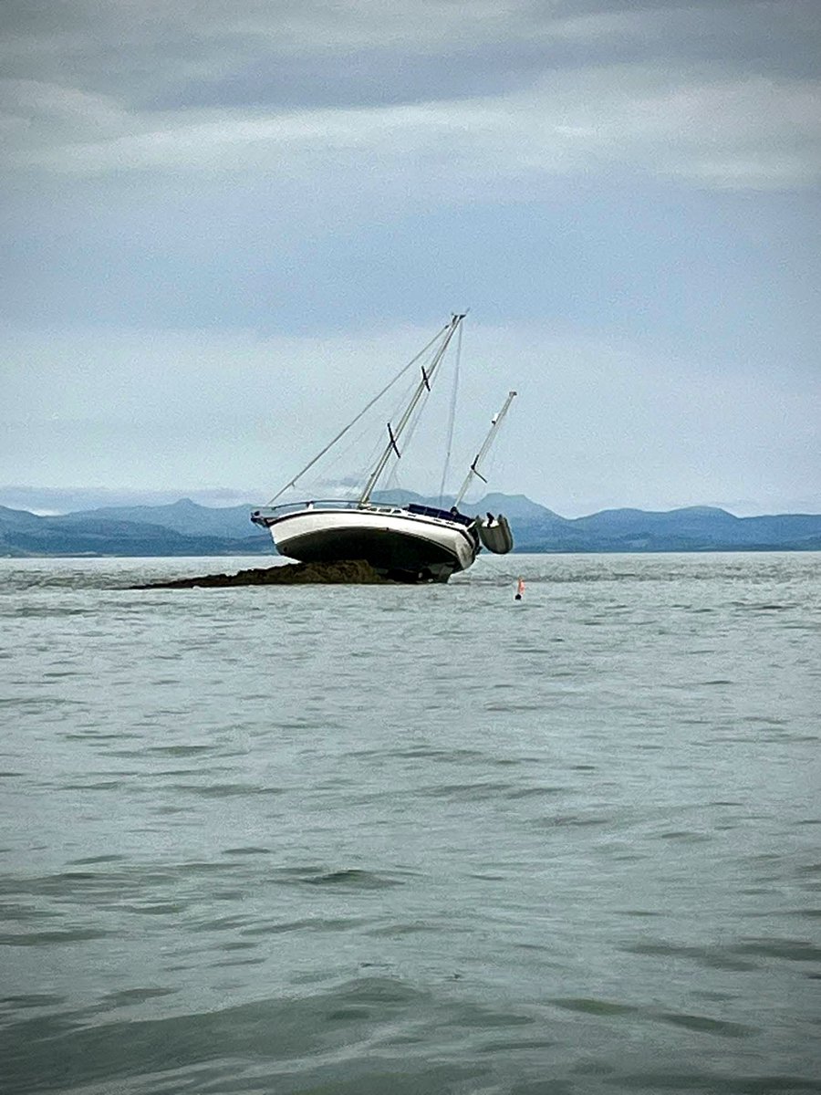 Cheshire Set tweet media