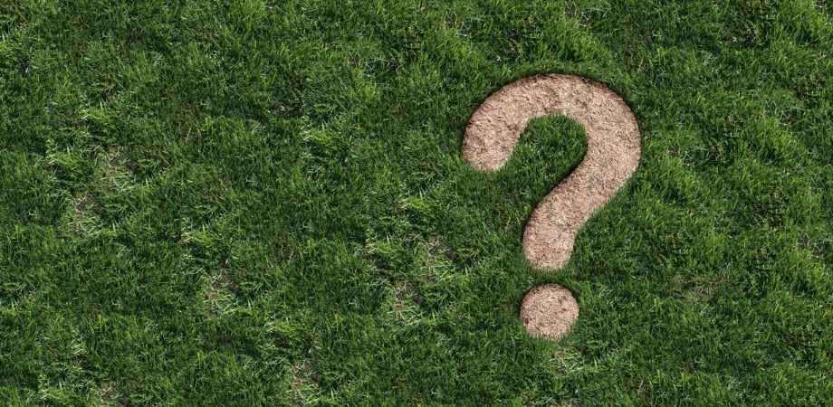Brown spots on your field? They may be the work of fungal diseases. We cover three likely culprits (brown patch, summer patch, and dollar spot) and how to control them here: bit.ly/3UVHj2k.