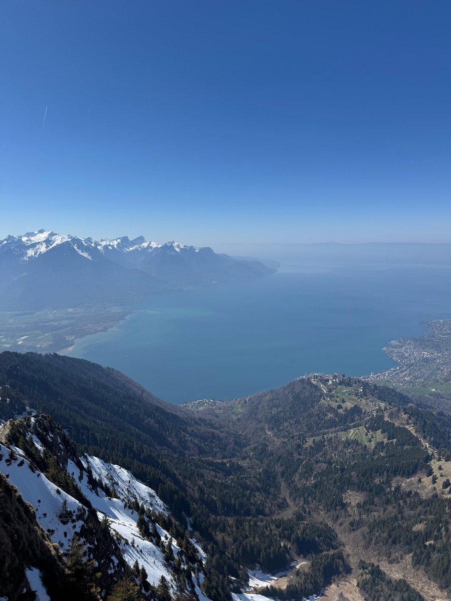 ✍️🏻🇨🇭 tweet media