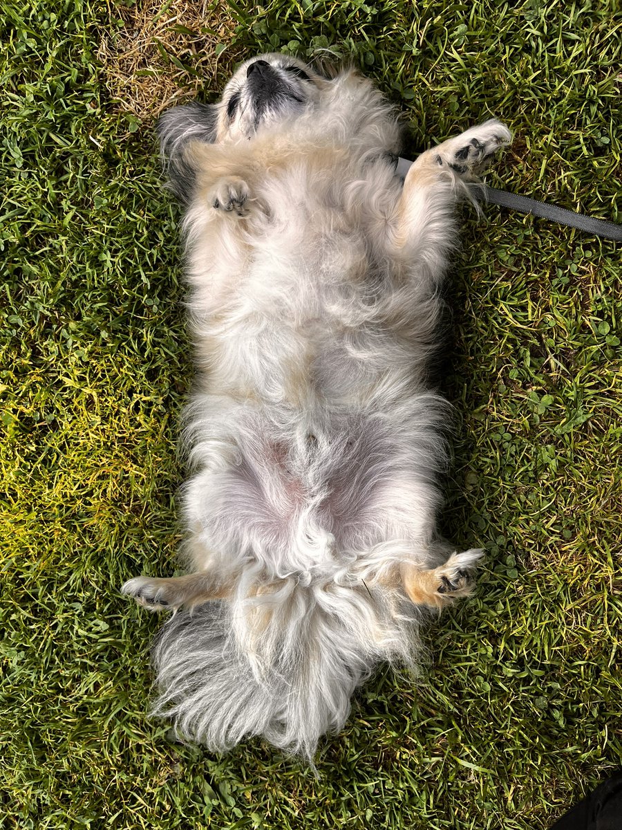 Val on the Moon tweet media