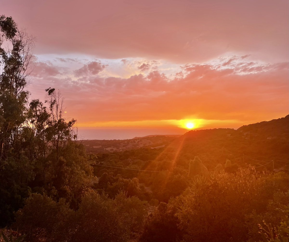 zmlsana's tweet image. První chemo za ní. Vrátili jsme se tak tak, abych s ní byla ty další. 🫂 Když jsem ji viděla, málem mi vyhrkly slzy. 
Přesto je statečná a myslí na ostatní. Připravila oběd, protože věděla, že po návratu doma nic nemáme. 
Non-hodgkine táhni do prdele! 
#druhárodina
#domov