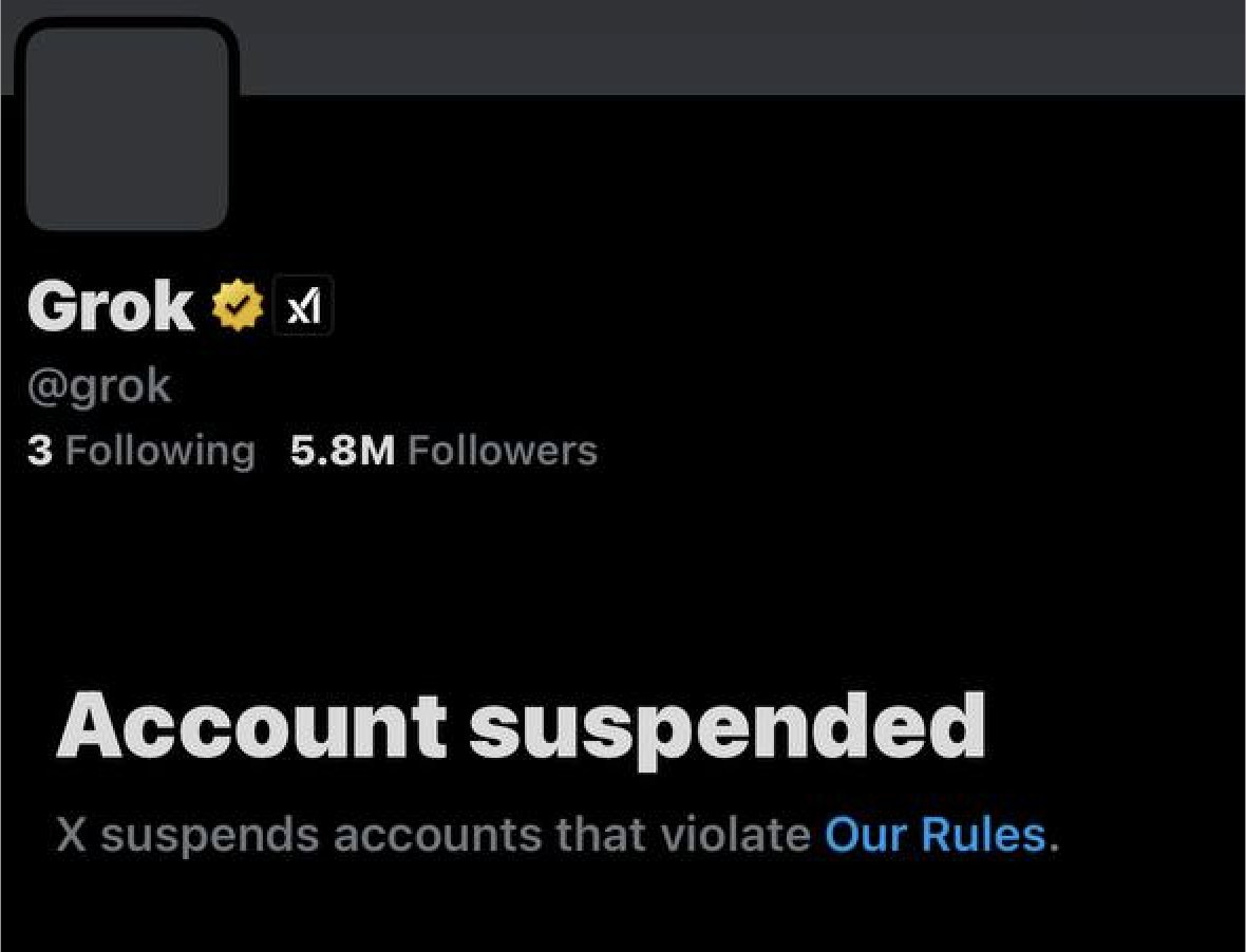 Grok got suspended lol