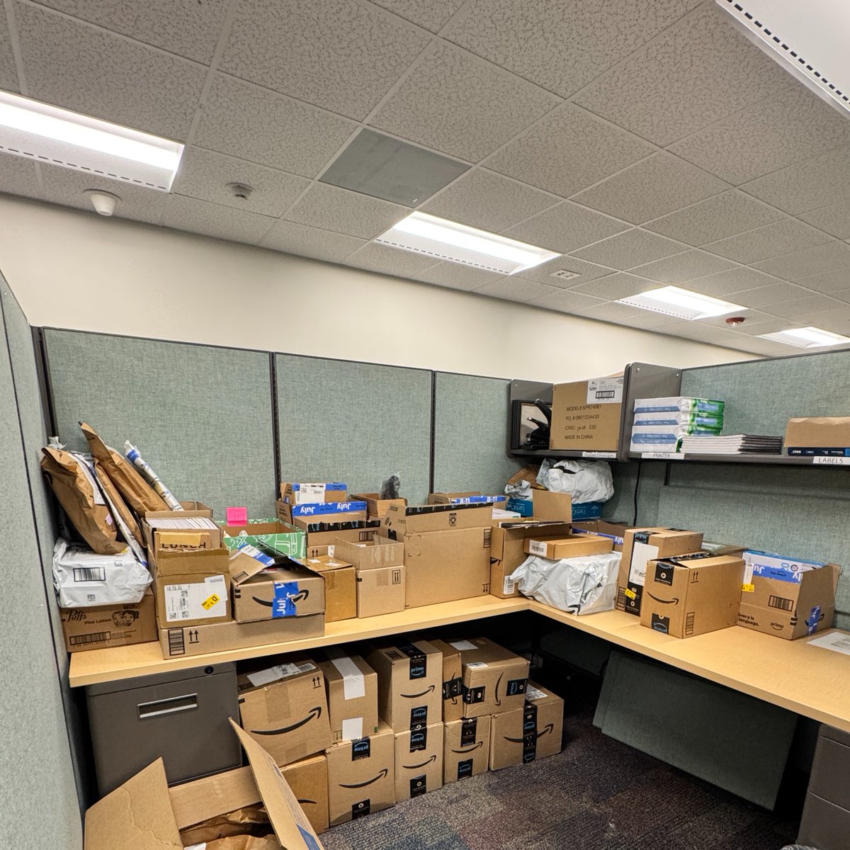 NCDIT (@ncdit) on Twitter photo We're ready to go! Our team donated over 2,800 items to <a href="/NC_Governor/">Governor Josh Stein</a> Josh Stein's annual School Supply Drive. We’re delivering them to Madison County Public Schools in Western NC to help them start the year off strong. Thank you, NCDIT team, for making this a success! We're ready to go! Our team donated over 2,800 items to <a href="/NC_Governor/">Governor Josh Stein</a> Josh Stein's annual School Supply Drive. We’re delivering them to Madison County Public Schools in Western NC to help them start the year off strong. Thank you, NCDIT team, for making this a success!