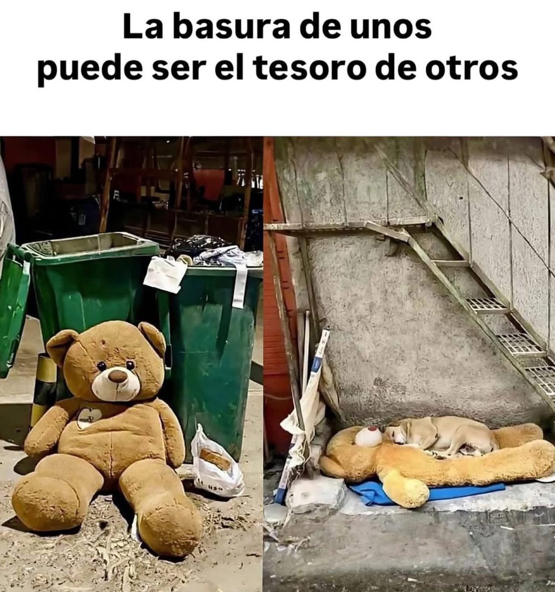 Alejandra Rosanía (@alejarosania) on Twitter photo 