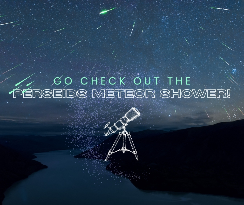 OlmcSac's tweet photo. God has created so much natural beauty, and you can see some of the best meteors of the year right now! NASA has you covered with all the details of how to experience God's #truthgoodnessbeauty https://t.co/V9AVnRByKt https://t.co/WhtVfWDXfn