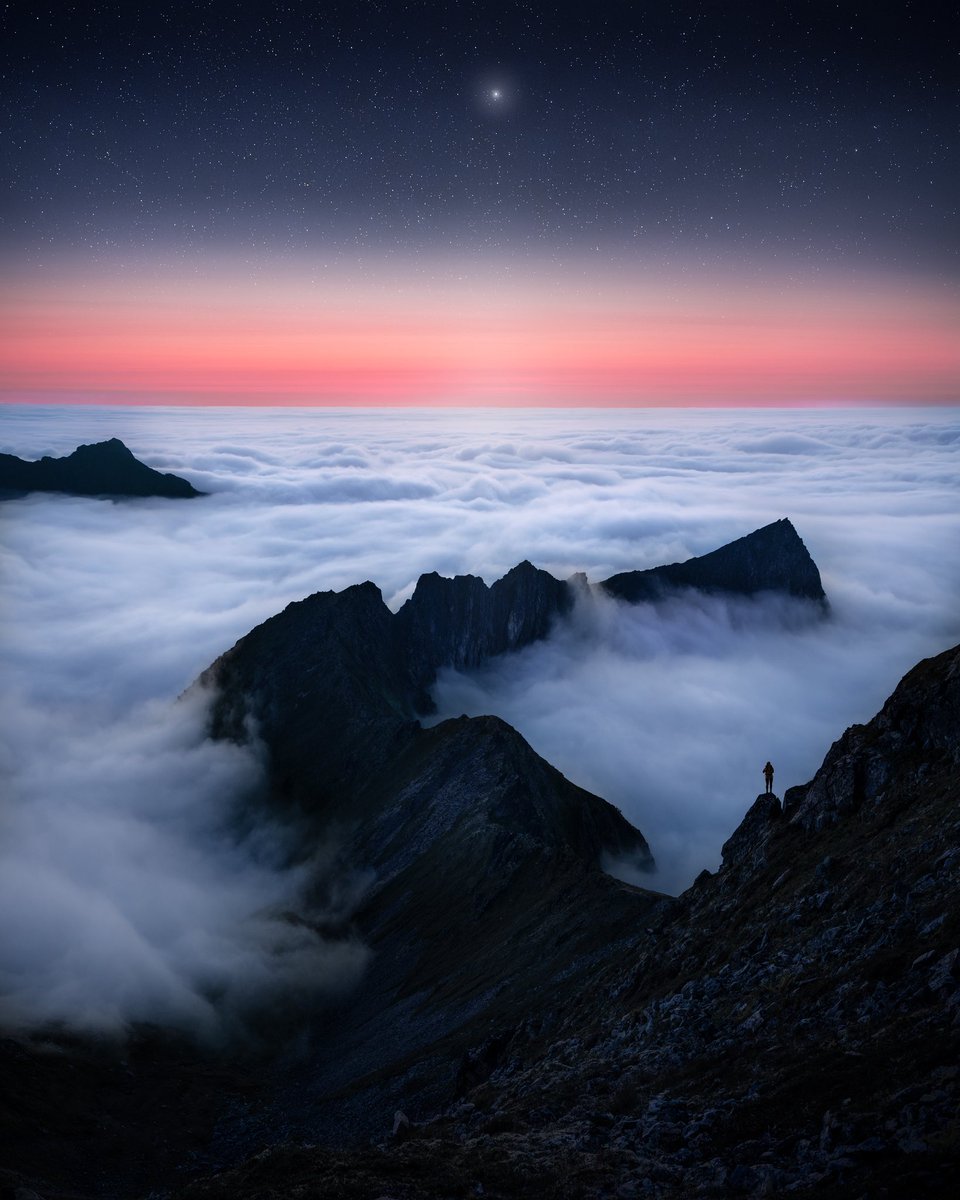 ANGEL FUX tweet media