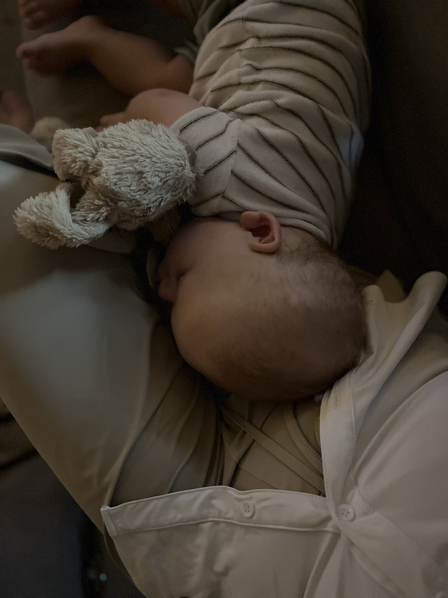 vlindermoon's tweet photo. Morris is weer terug van vakantie en ligt lekker bij mij te slapen #flieft 🥰 https://t.co/ZRl5opN1af