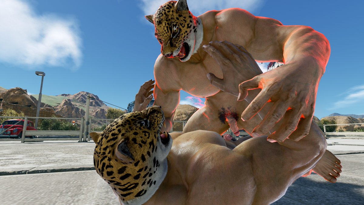 Balam, the jaguar 🐆 tweet media