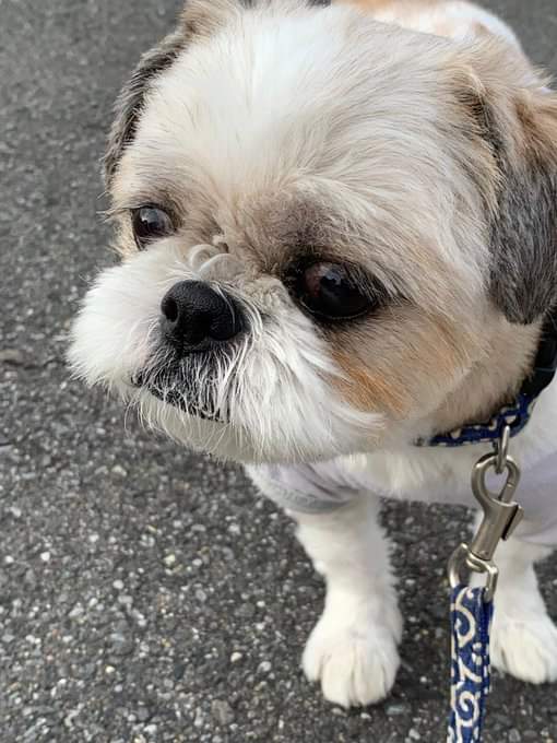 Título: "O Homem Solitário"  

Técnica: Urina no concreto