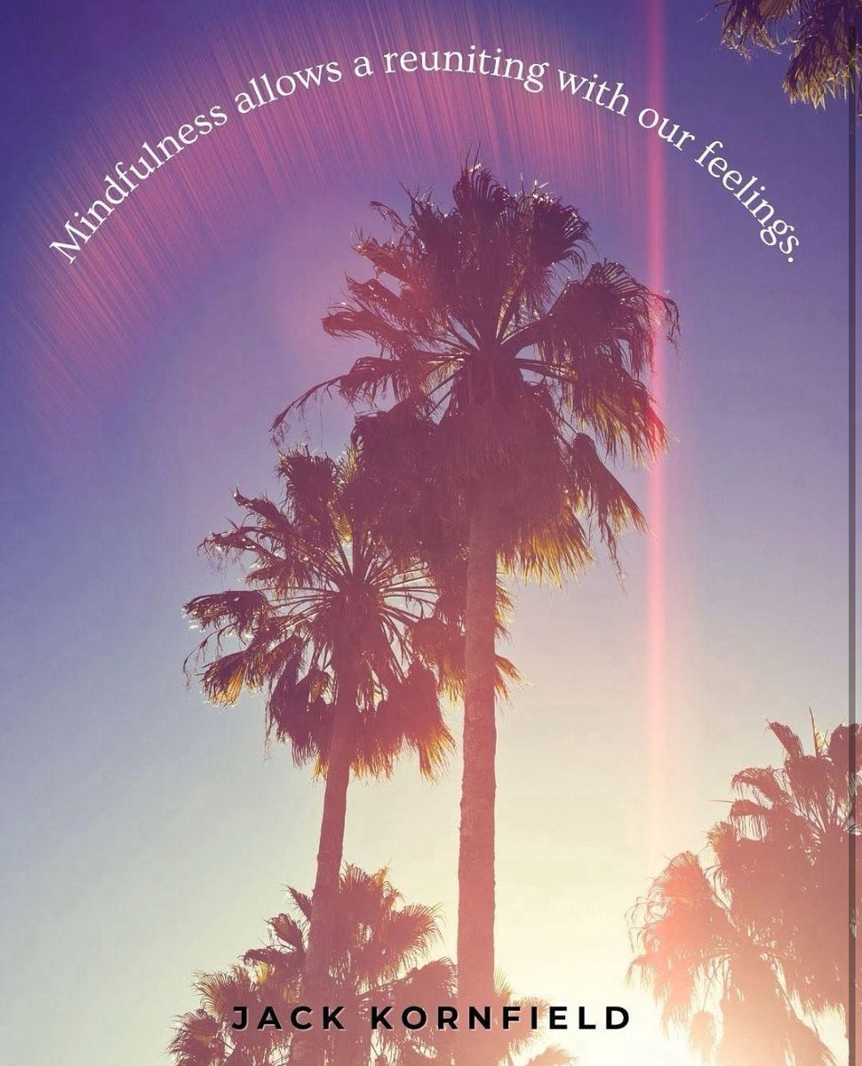 Mindfulness opens and allows us to reunite with ourselves as we are—not how we think we’re supposed to be, but just as we are. 
🧘🌴

#mindfulness #feelings #emotions #spiritualpath #jackkornfield #zen #tao #mindful #meditateeveryday #meditation