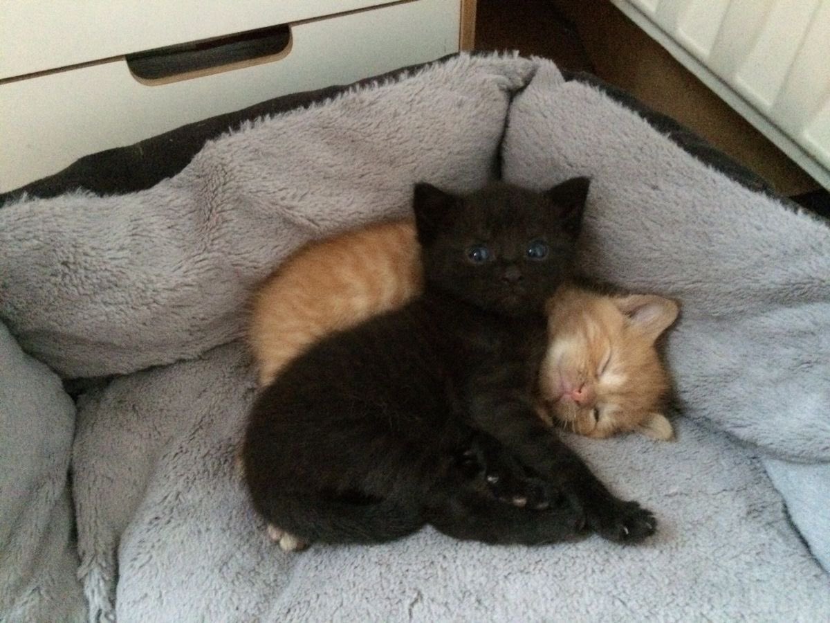 7th. Byano tweet media