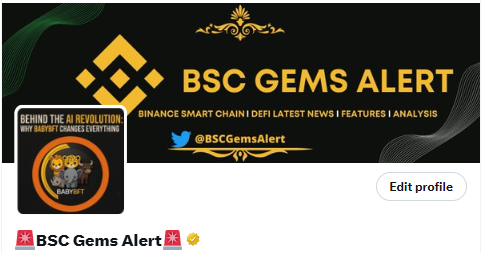 BSCGemsAlert's tweet photo. Congrts #BABYBFT 🥰 https://t.co/vUeqAeSB7n