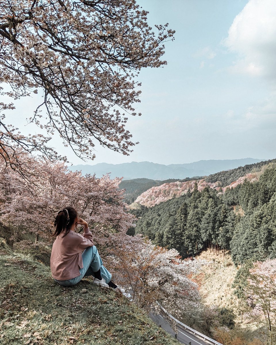 aprilandsummer_'s tweet photo. Always drawn to the mountains 🌿
#JapanMountainDay #山の日

📍Mt. Yoshino, Nara, Japan (2021) 🇯🇵

📸 IG post → https://t.co/rlSoJZrip5 https://t.co/xTLZtItnEr