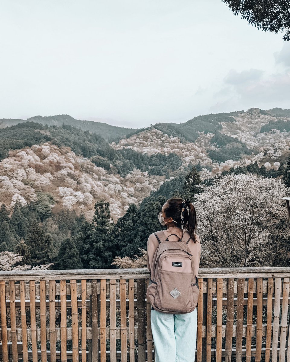 aprilandsummer_'s tweet photo. Always drawn to the mountains 🌿
#JapanMountainDay #山の日

📍Mt. Yoshino, Nara, Japan (2021) 🇯🇵

📸 IG post → https://t.co/rlSoJZrip5 https://t.co/xTLZtItnEr