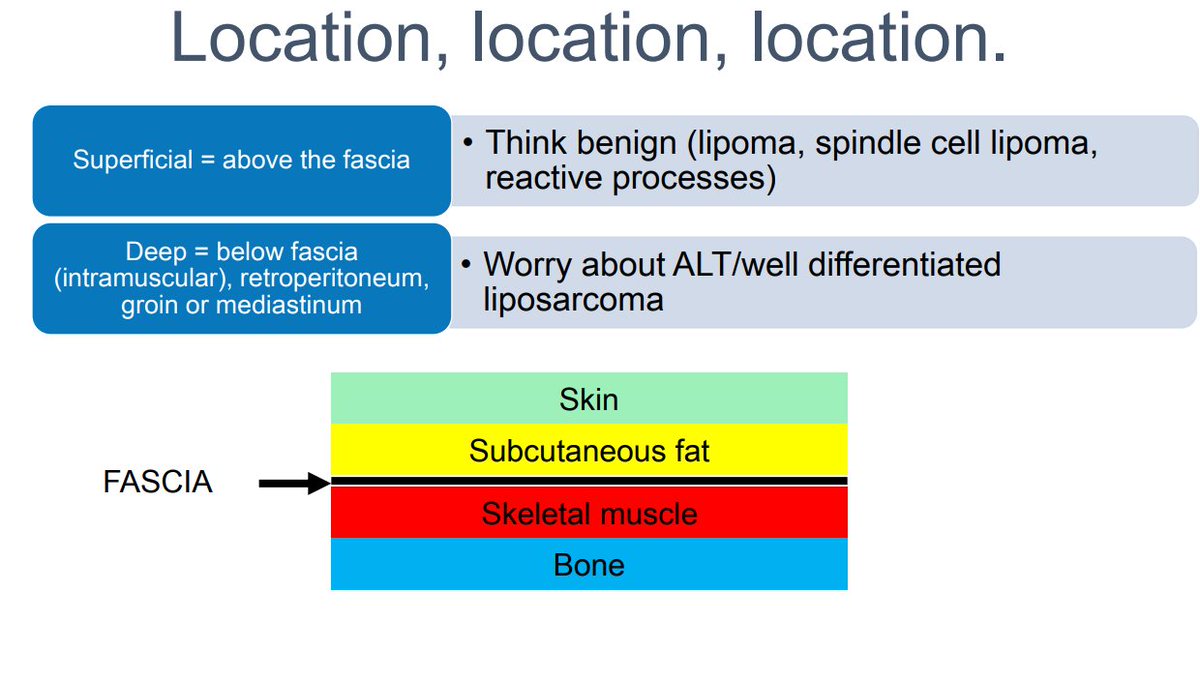 Janiranavarro's tweet photo. Rules of well differentiated lipomatous neoplasms
1. Location (pic 2)
2. Do not look for lipoblasts (pic 2), look for atypical hypercromatic cells in fibrous septa (pic 3-you can see them at 10X, if you have to go to 40X to look for them then they are not real ones)
3. Cytogenetics are often helpful in appropriate classification (pic 4)

Dr. Fritchie- Comprehensive and Immersive Soft Tissue Pathology Course-May 2025 #pathology #BSTPath #PathX