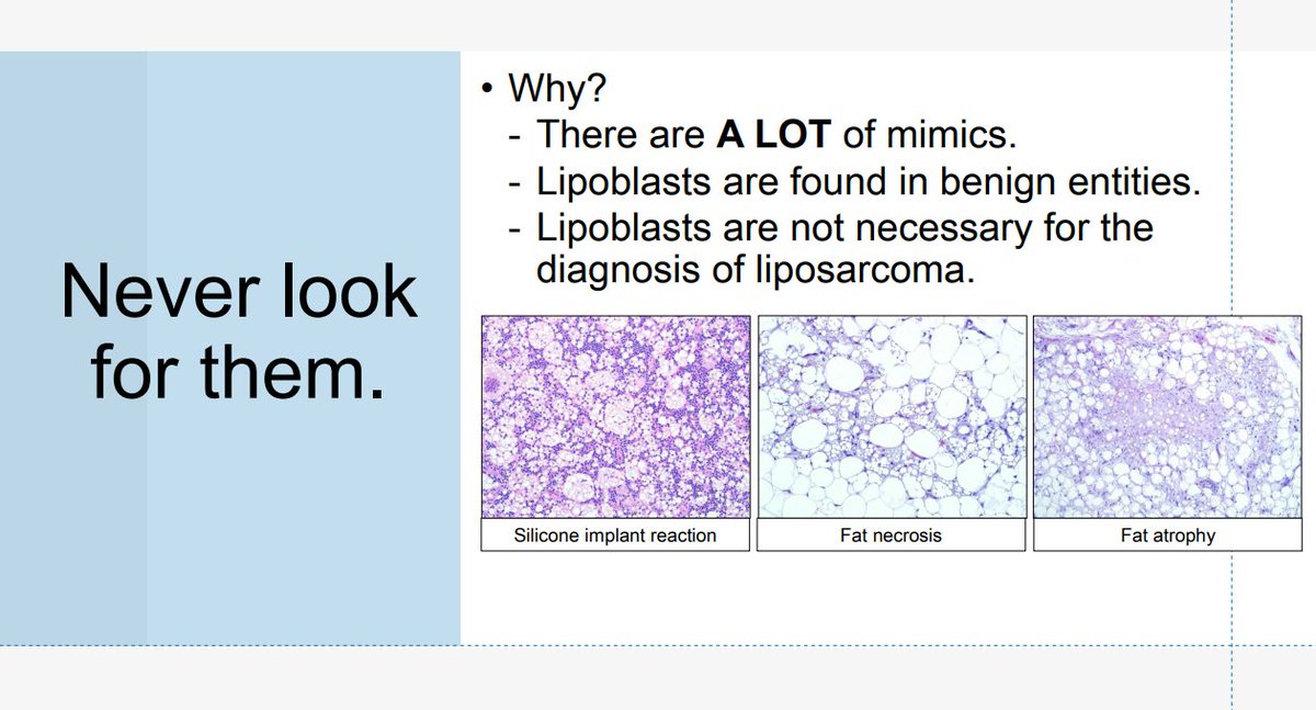 Janiranavarro's tweet photo. Rules of well differentiated lipomatous neoplasms
1. Location (pic 2)
2. Do not look for lipoblasts (pic 2), look for atypical hypercromatic cells in fibrous septa (pic 3-you can see them at 10X, if you have to go to 40X to look for them then they are not real ones)
3. Cytogenetics are often helpful in appropriate classification (pic 4)

Dr. Fritchie- Comprehensive and Immersive Soft Tissue Pathology Course-May 2025 #pathology #BSTPath #PathX
