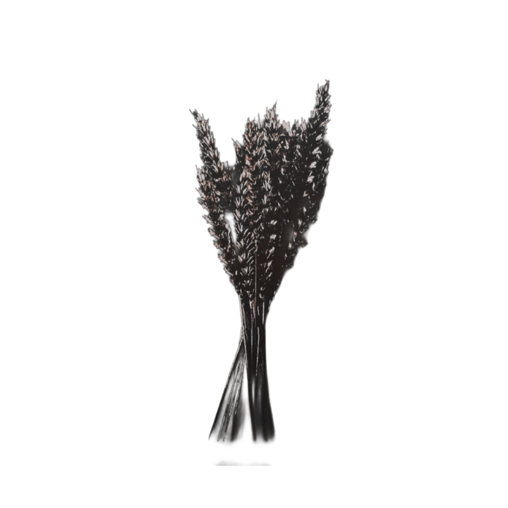 𝓓𝐄𝐌𝐄𝐓𝐄𝐑 tweet media