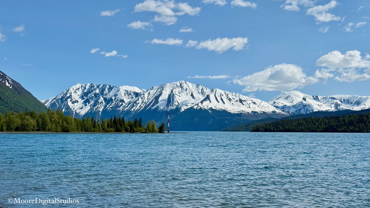 Good Monday Morning! 📸