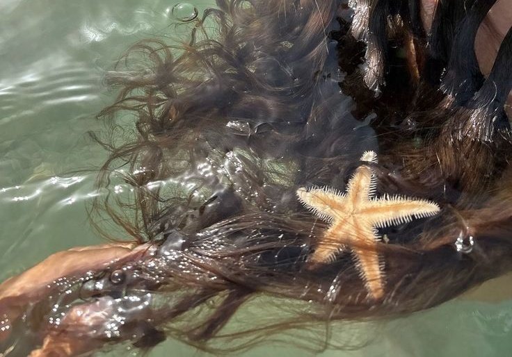 merty (@mertoloji_1) on Twitter photo 