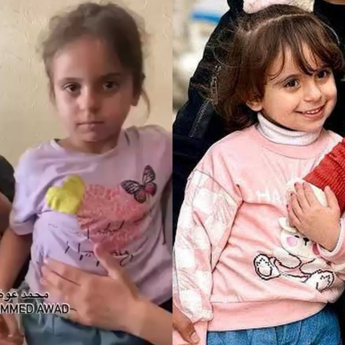 حبيبتي يا شام، تبدّلت ملامحك الصغيرة، وارتسم في عينيك ظلّ اليُتم قبل أوانه. أسأل الله أن يحرسك بعينه التي لا تنام يا حبيبة قلبي. وغدًا، يا صغيرتي، ستكبرين وأنت تحملين شرف اسم أبيك، يا ابنة الشريف