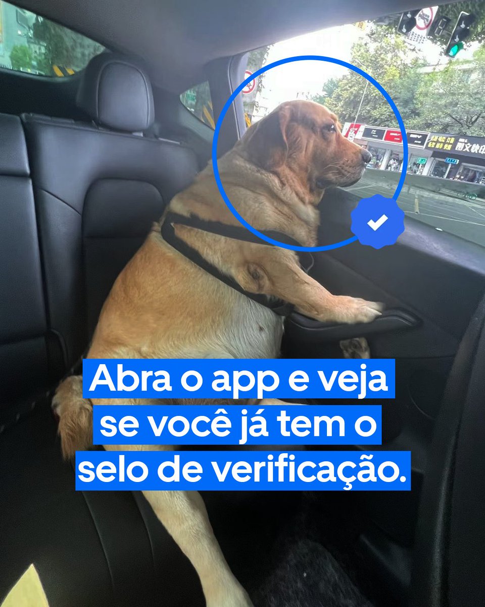 Uber Brasil tweet media