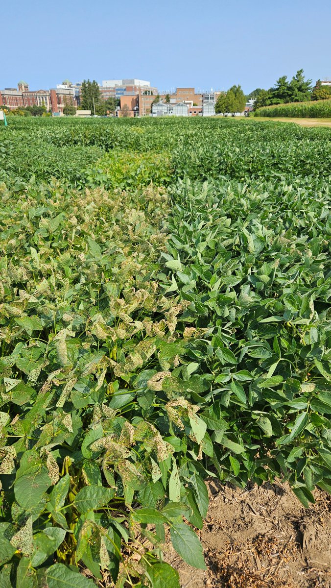 Elroy Cober tweet media