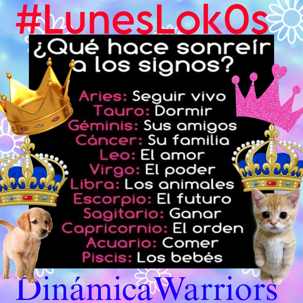 Maria Antonieta López 🪄 tweet media