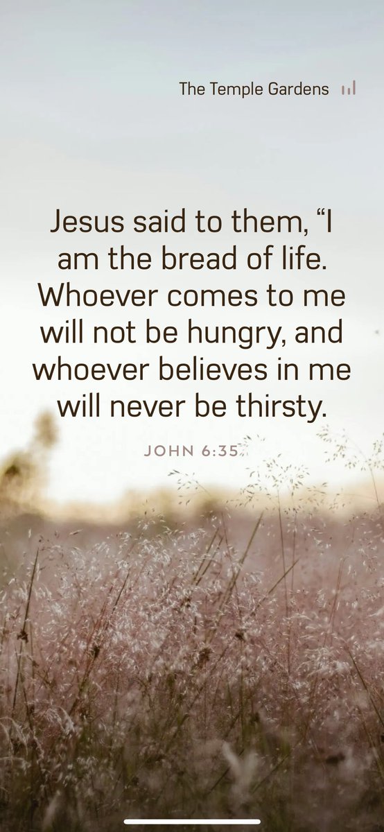 🍭🍭Candace🍭🍭 (@candace_lo70387) on Twitter photo 🌼🌼 And my God will meet all of your needs according to the riches of His glory in Christ Jesus. 🌼🌼
Philippians 4:19
<a href="/StarxFire/">⭐️🔥star⭐️🔥</a>
<a href="/MassholeJay/">Jay 🇺🇸🇺🇸🇺🇸</a>
<a href="/franigenx/">Francine</a>
<a href="/State9Mac/">Mac</a>
<a href="/candace_lo70387/">🍭🍭Candace🍭🍭</a>
<a href="/BobbyReader2/">Bobby R</a>
<a href="/V_Lady2024/">𝐿𝒶𝒹𝓎 𝒱 🥀</a>
<a href="/Gentleman2741/">The Gentleman🎩</a>
<a href="/falconmediateam/">🦅🌈🛟🅇 C⭕️🅰️ch 🇫🅾🇷 🅱etter 🇱ife🛟🌈 🦅</a>
<a href="/girlnamed_Seth/">Seth</a> 🌼🌼 And my God will meet all of your needs according to the riches of His glory in Christ Jesus. 🌼🌼
Philippians 4:19
<a href="/StarxFire/">⭐️🔥star⭐️🔥</a>
<a href="/MassholeJay/">Jay 🇺🇸🇺🇸🇺🇸</a>
<a href="/franigenx/">Francine</a>
<a href="/State9Mac/">Mac</a>
<a href="/candace_lo70387/">🍭🍭Candace🍭🍭</a>
<a href="/BobbyReader2/">Bobby R</a>
<a href="/V_Lady2024/">𝐿𝒶𝒹𝓎 𝒱 🥀</a>
<a href="/Gentleman2741/">The Gentleman🎩</a>
<a href="/falconmediateam/">🦅🌈🛟🅇 C⭕️🅰️ch 🇫🅾🇷 🅱etter 🇱ife🛟🌈 🦅</a>
<a href="/girlnamed_Seth/">Seth</a>