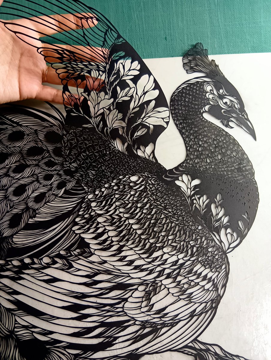🦚切り抜けた！